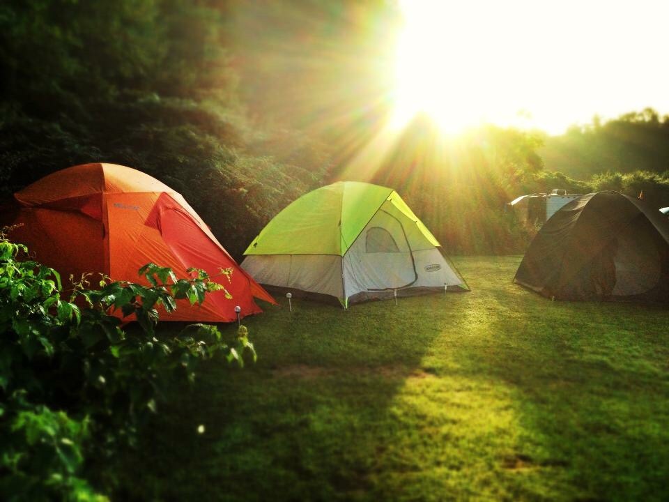 Point Tent & Trailer Resort | 906 Charlotteville Road 2, Vittoria, ON N0E 1W0, Canada | Phone: (519) 426-7275