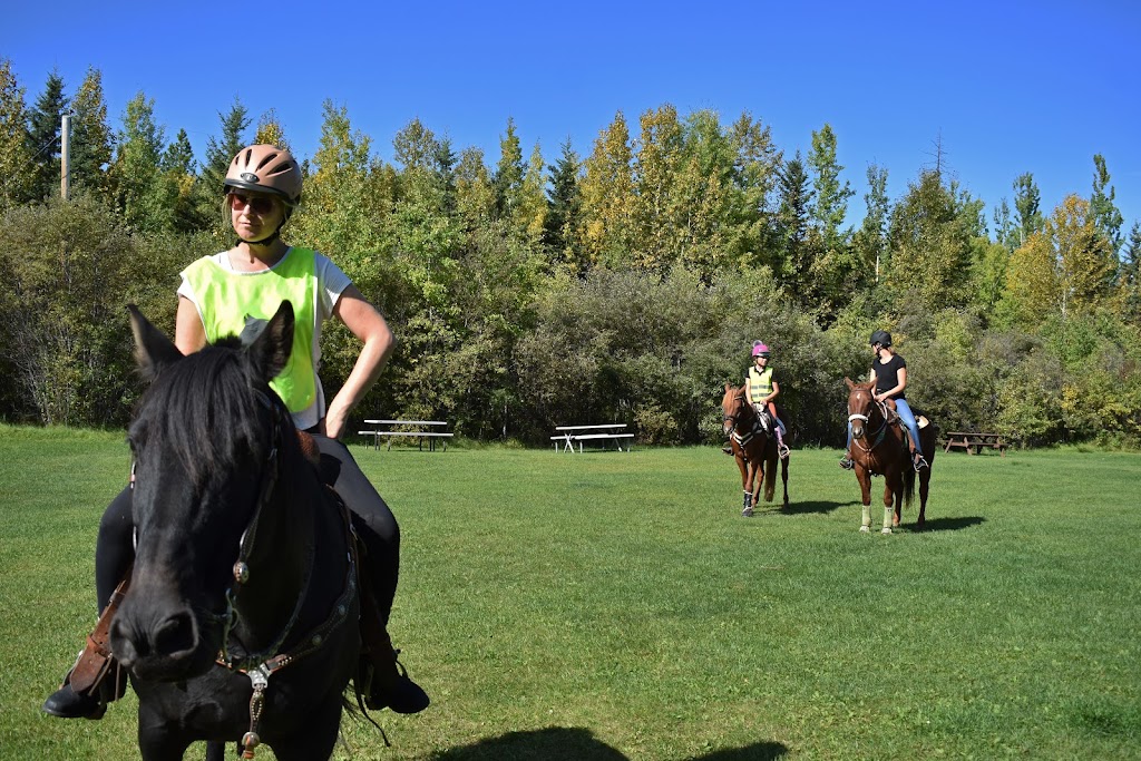 Bearpaw Ranch and BearSpaw Holistic Market | 49222 Range Rd 92, Cynthia, AB T0E 0K0, Canada | Phone: (780) 542-3259