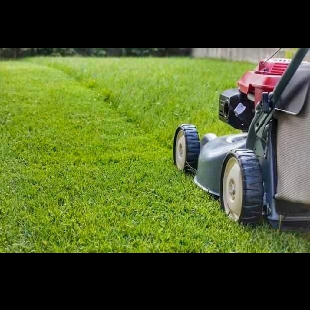 Phoenix Maintenance Services | 62 Dyer Ct, Cambridge, ON N3C 4B8, Canada | Phone: (519) 240-8446