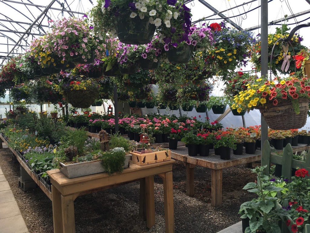 Aspen Ridge Greenhouses | 52257 Range Rd 231 #7, Sherwood Park, AB T8B 1A7, Canada | Phone: (780) 464-5527