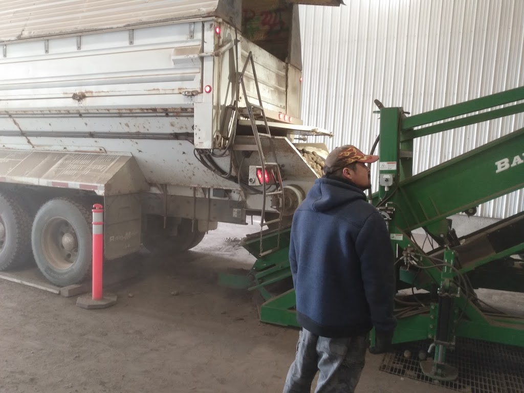 Spud Plains Farms LTD | Wellwood, MB R0K 2H0, Canada | Phone: (204) 834-3866