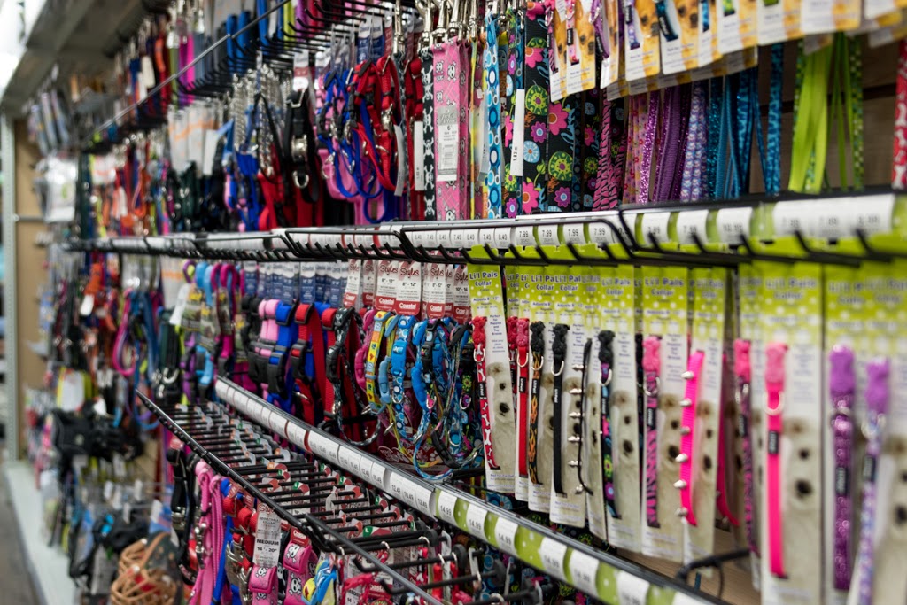 Paws and Claws | 3683 Rue Hochelaga, Montréal, QC H1W 1J2, Canada | Phone: (514) 419-1414