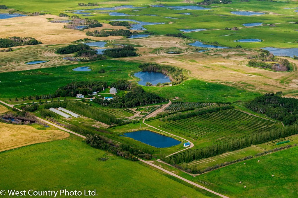 Rocky Acres Orchard | Kellross No. 247, SK S0A 1V0, Canada | Phone: (306) 535-1974