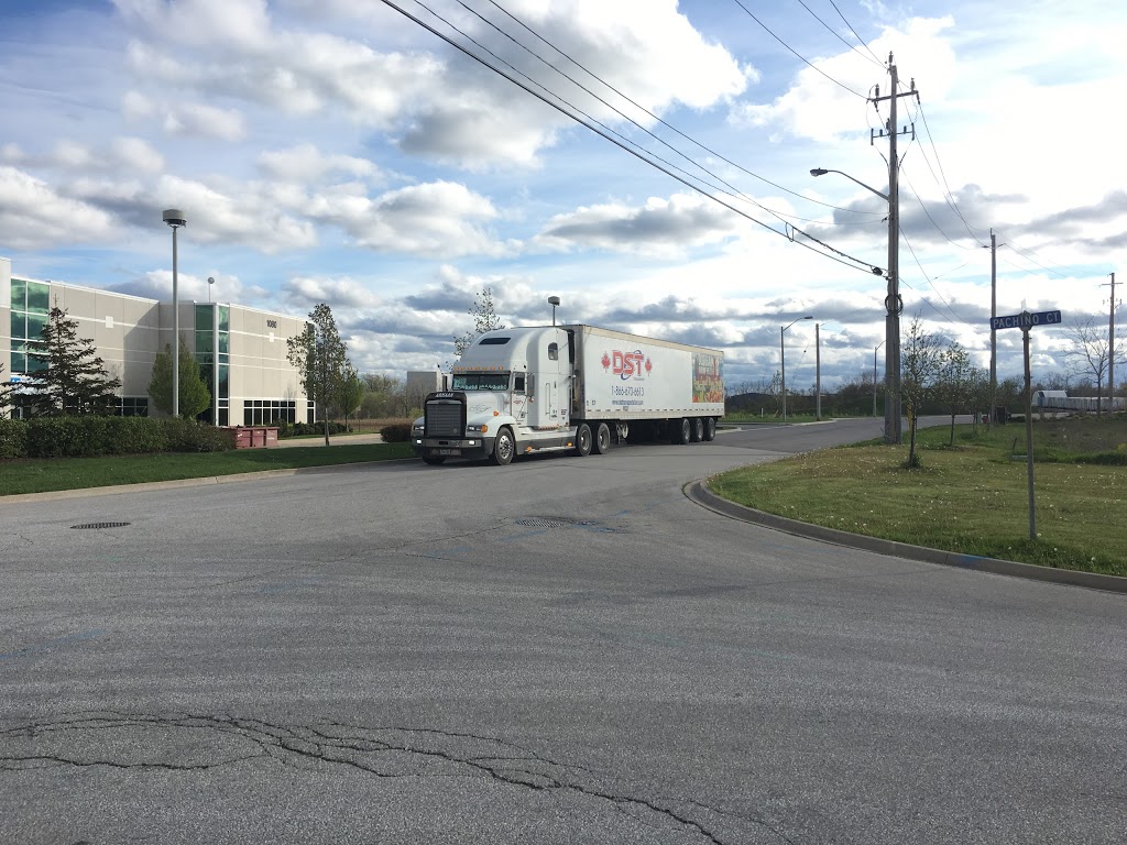 DST Transportation | 5810 Shawson Dr, Mississauga, ON L4W 3W5, Canada | Phone: (905) 670-6613