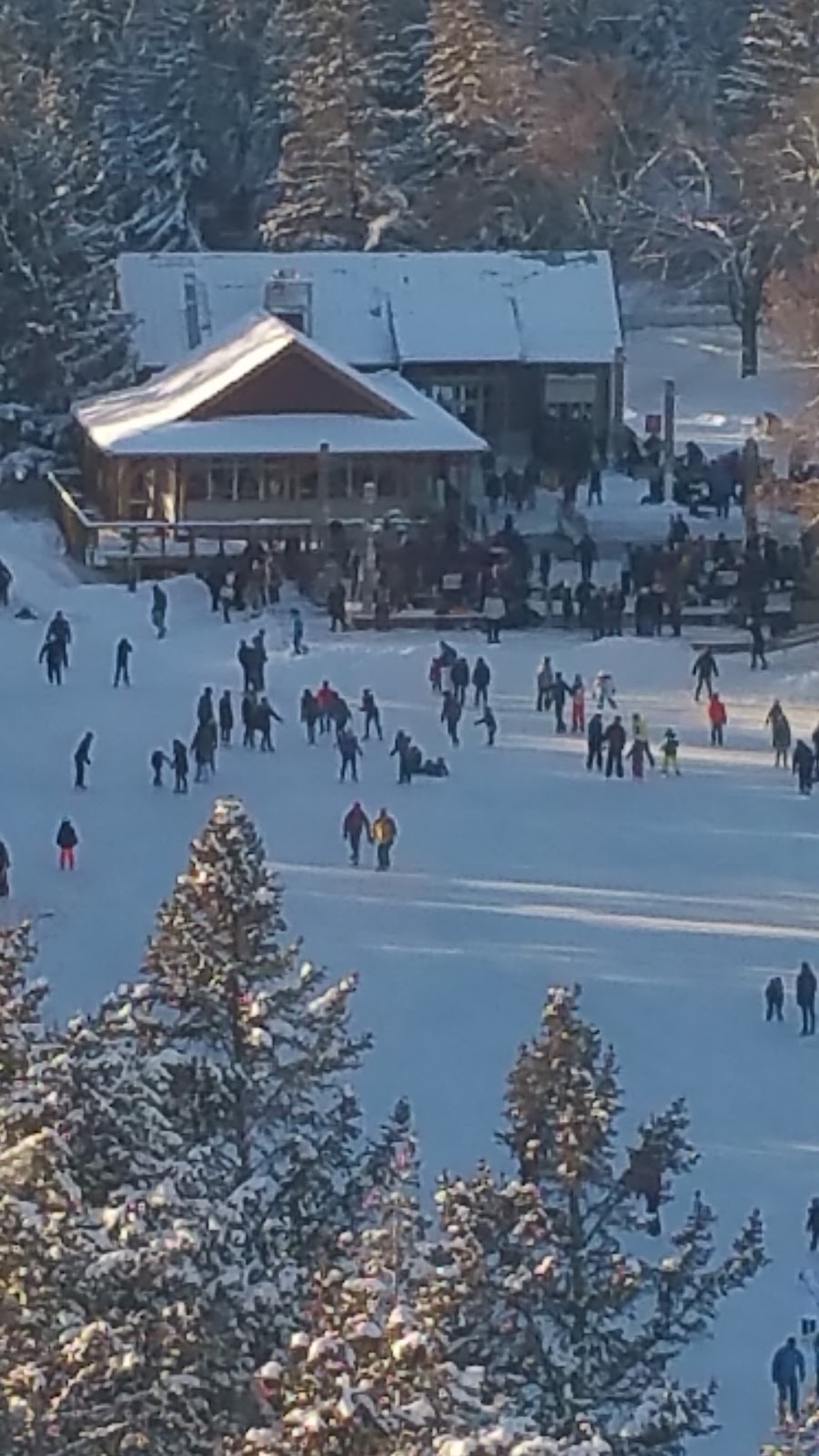 Silverwood On The Park | 8604 48 Ave NW, Calgary, AB T3B 5E6, Canada | Phone: (403) 247-6024