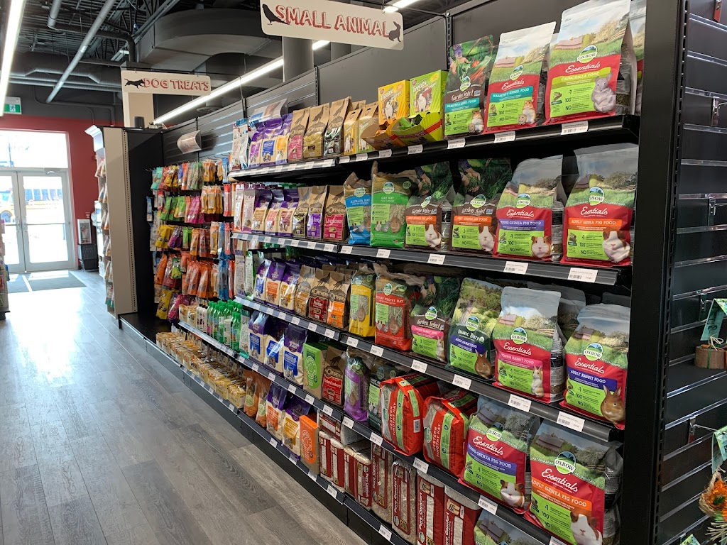 Global Pet Foods Sage Hill Quarter | 241 Sage Vly Cmn NW #210, Calgary, AB T3R 1T8, Canada | Phone: (587) 230-1899