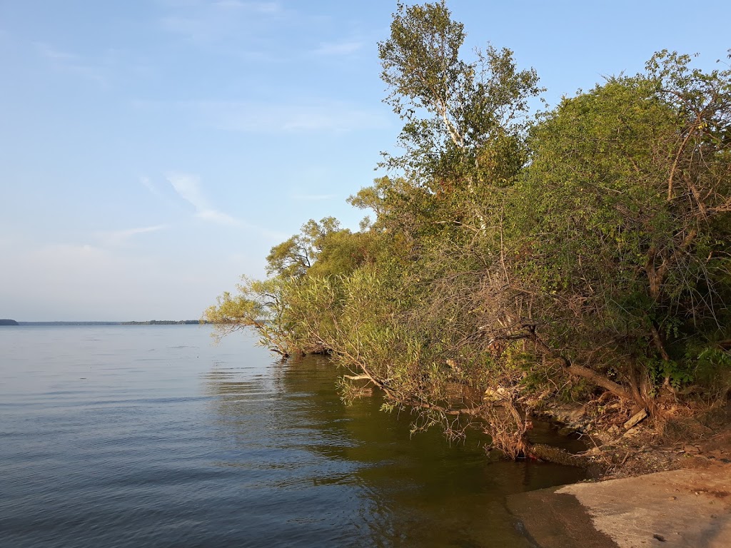 H. J. McFarland Conservation Area | MacFarland Park Ln, Prince Edward, ON K0K, Canada | Phone: (613) 968-3434