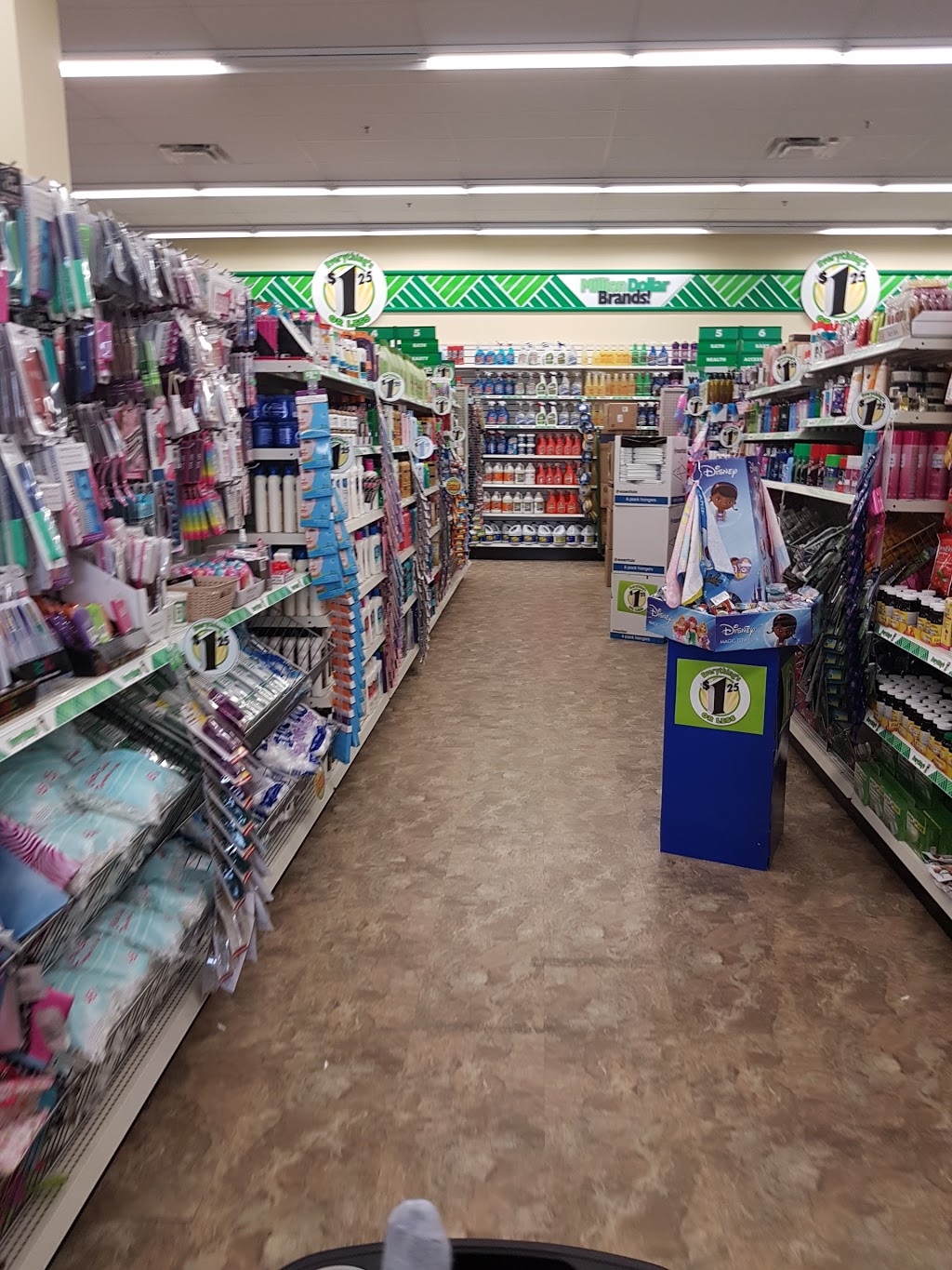 Dollar Tree | 5862 Malden Rd, Windsor, ON N9H 1S4, Canada | Phone: (519) 972-5202
