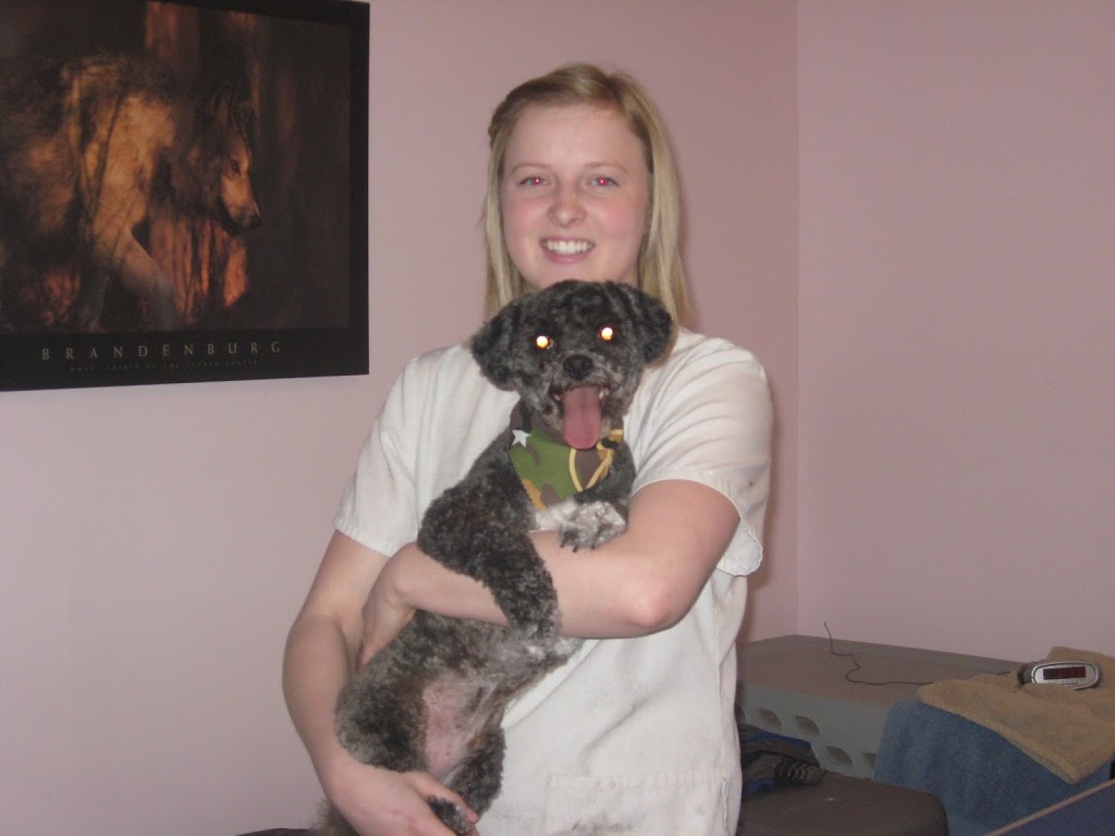The Pampered Pooch | 493 Main St S, Exeter, ON N0M 1S1, Canada | Phone: (519) 235-6191