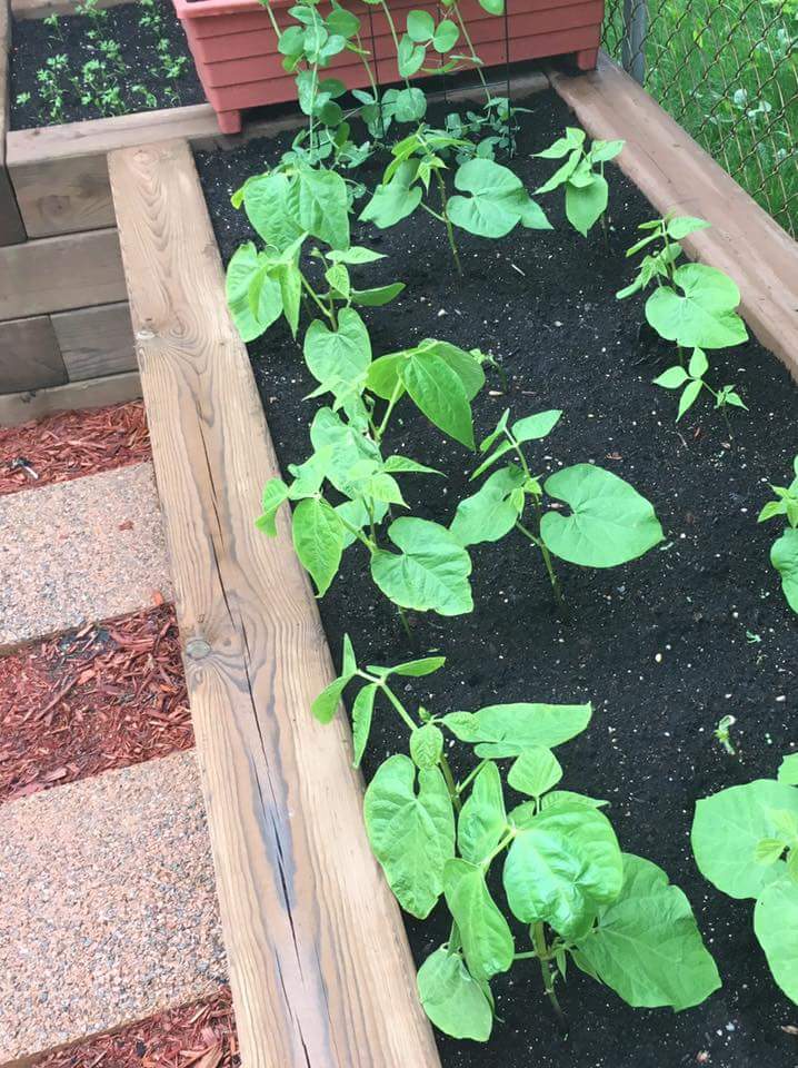 Pilot Projects & Landscaping | 838 Cavalier Dr #303, Winnipeg, MB R2Y 1Z8, Canada | Phone: (431) 554-1419