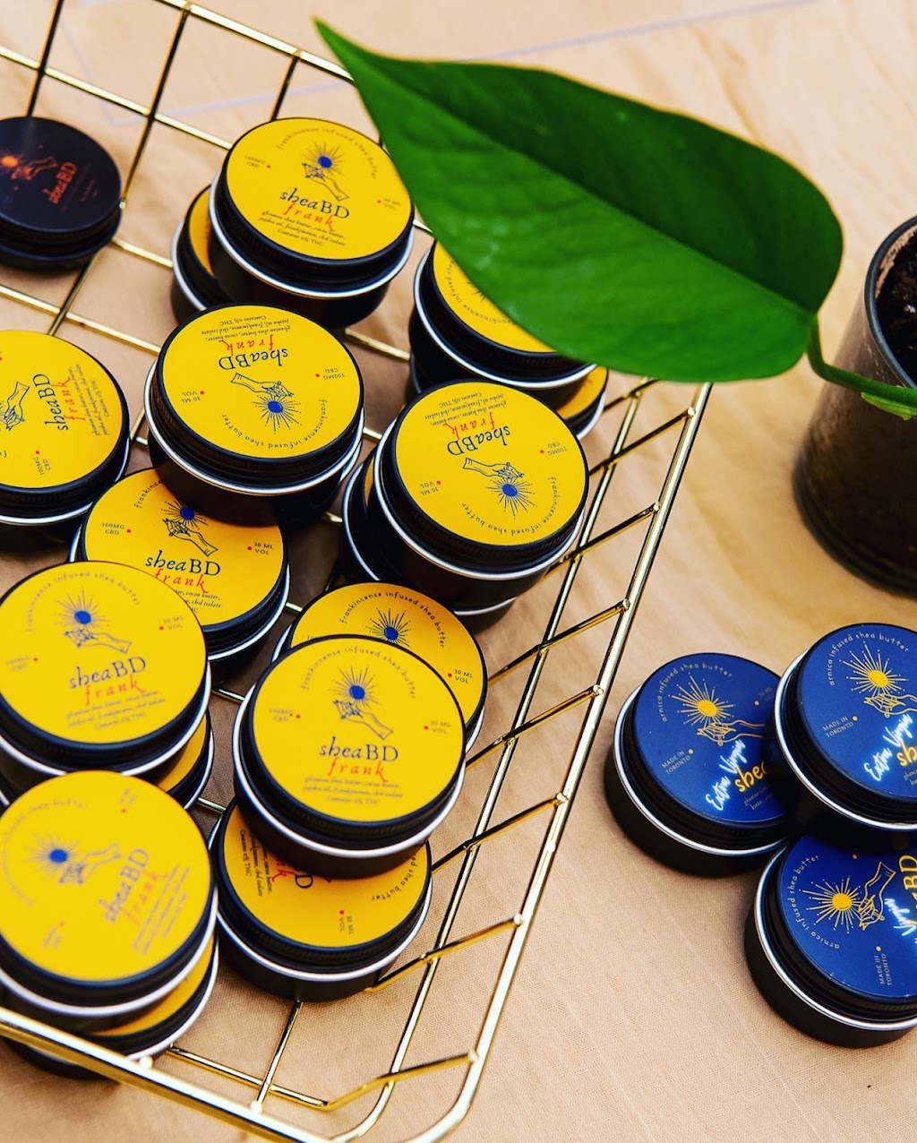sheaBD Naturals | 36 Holyoake Crescent, Etobicoke, ON M9W 6H1, Canada | Phone: (647) 760-3659