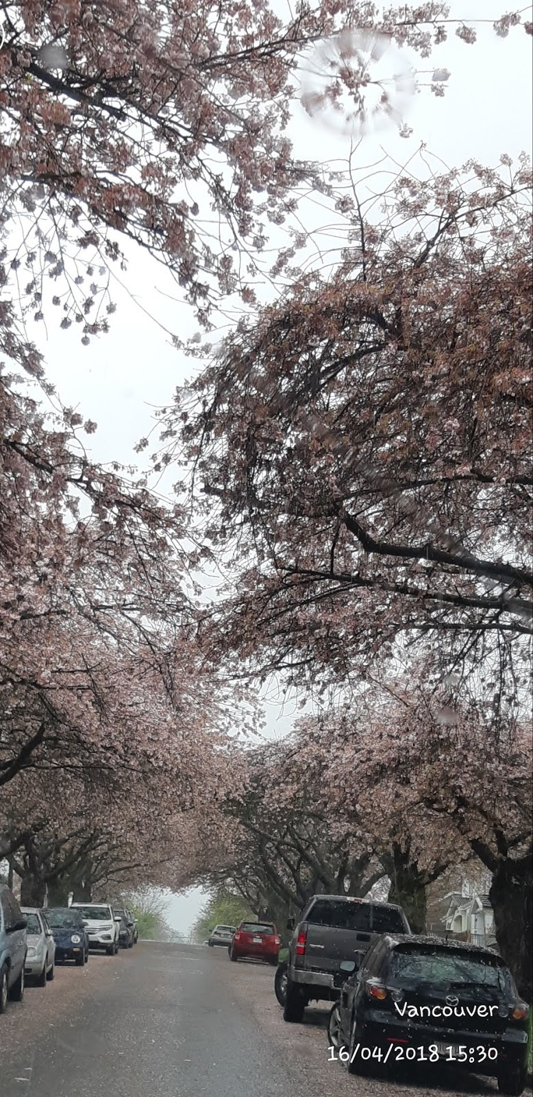 Burnaby Park & Picnic Sites | Canada Way, Burnaby, BC V5G 4H7, Canada | Phone: (604) 294-7459