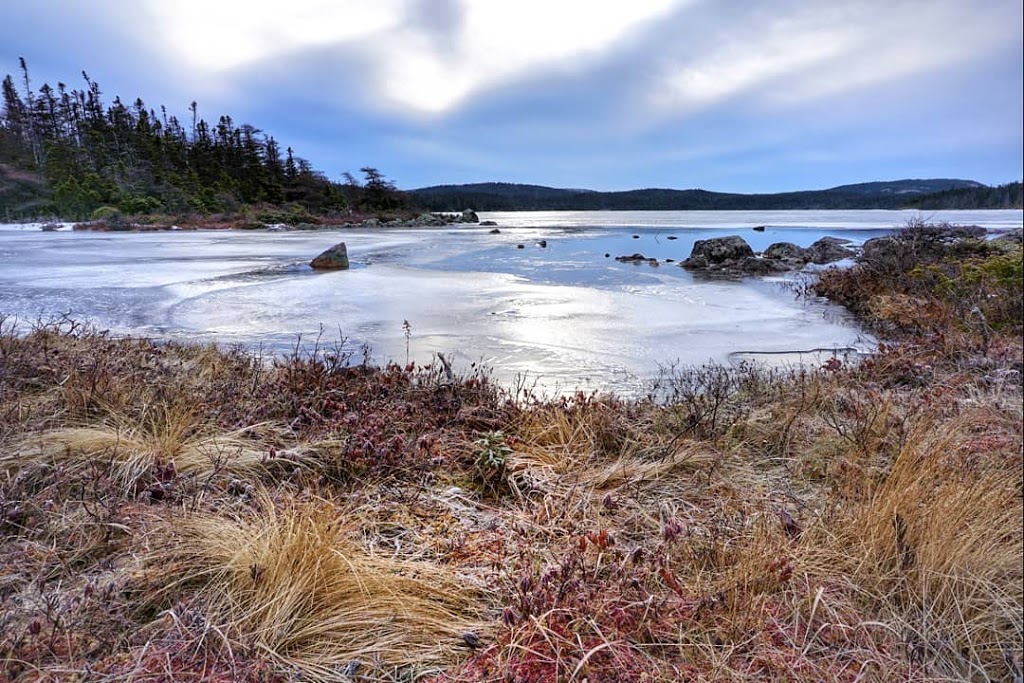 Butter Pot Provincial Park | Trans-Canada Hwy, Holyrood, NL A0A 2R0, Canada | Phone: (709) 685-1853