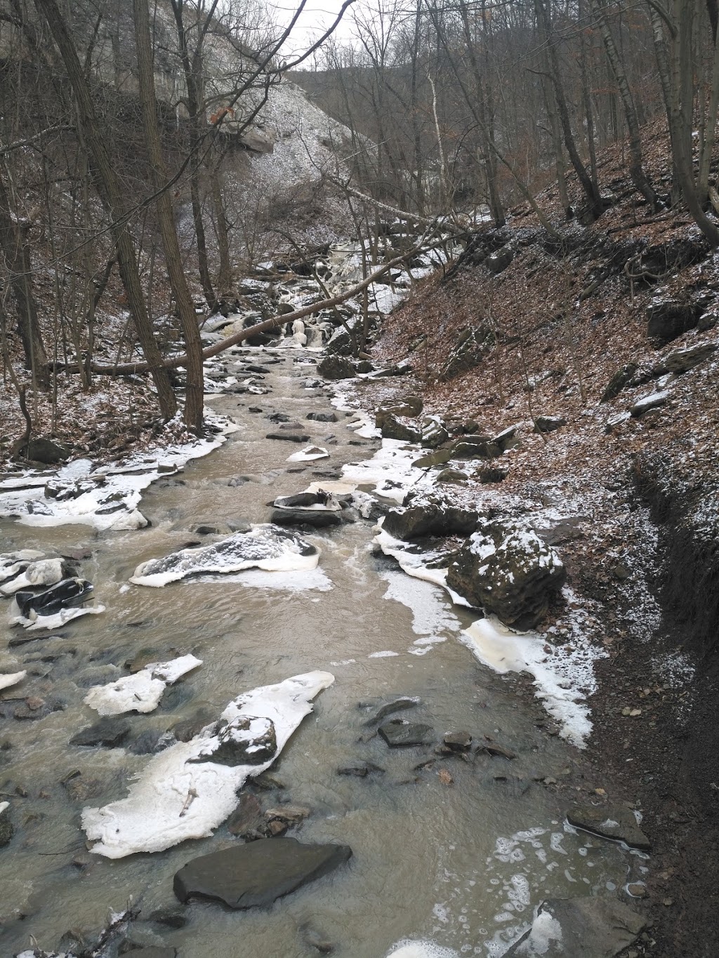 Lower Punchbowl Falls | 185 Ridge Rd, Stoney Creek, ON L8J 2W1, Canada
