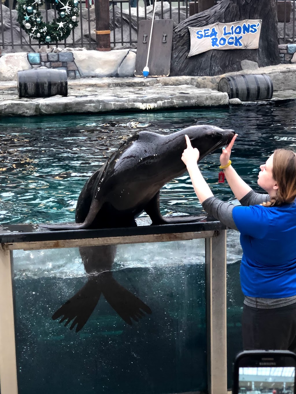 Marine Life | 8882 170 St NW, Edmonton, AB T5T 4J2, Canada | Phone: (780) 444-5320