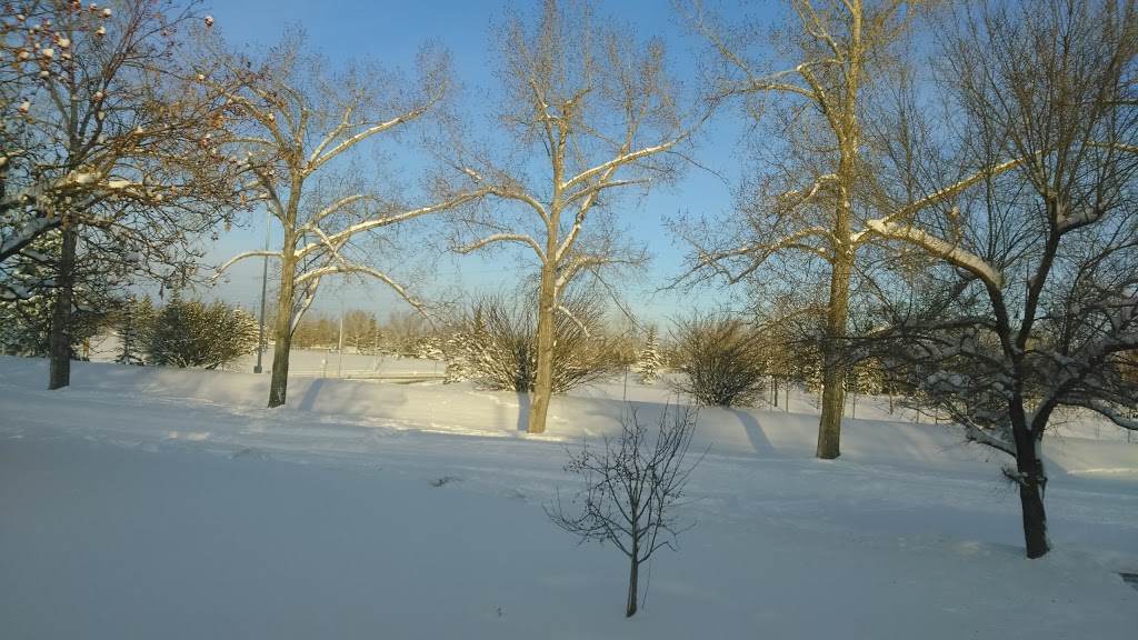 Bonavista Off Leash Area 4 | 1465 Lake Sylvan Dr SE, Calgary, AB T2J 3C9, Canada
