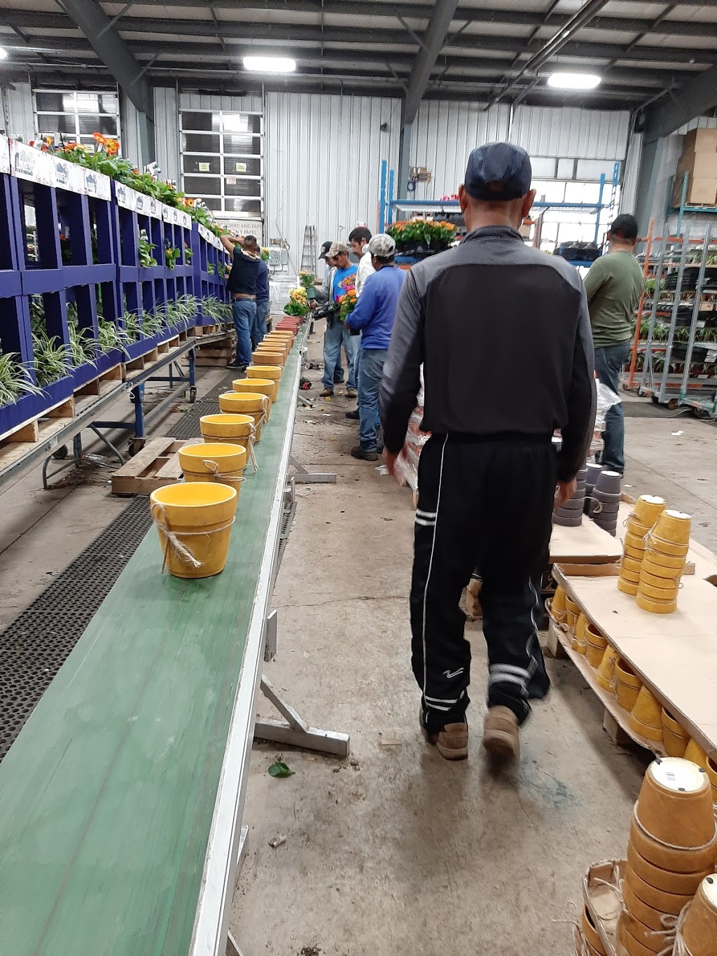 Bayview Flowers Ltd. | 3764 Jordan Rd, Jordan Station, ON L0R 1S0, Canada | Phone: (905) 562-7321