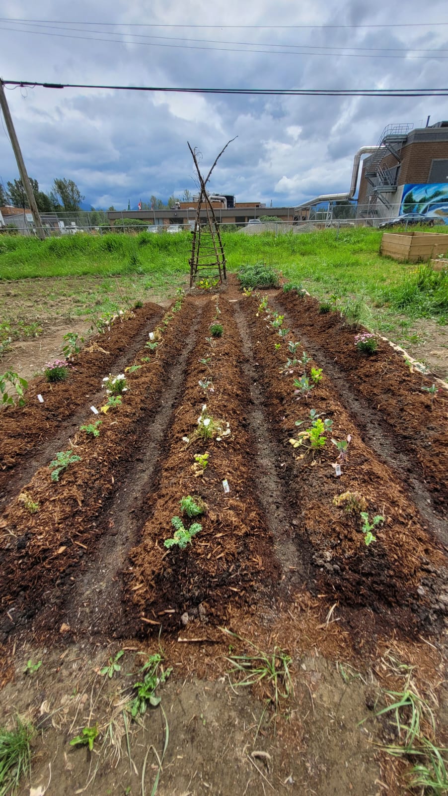Community Roots Garden | 44825 Wolfe Rd, Chilliwack, BC V2P 8A8, Canada | Phone: (604) 701-4944