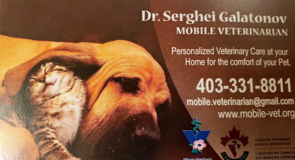 Lethbridge Veterinary House Call Service | 4013 Nipigon Rd S, Lethbridge, AB T1K 4P6, Canada | Phone: (403) 331-8811