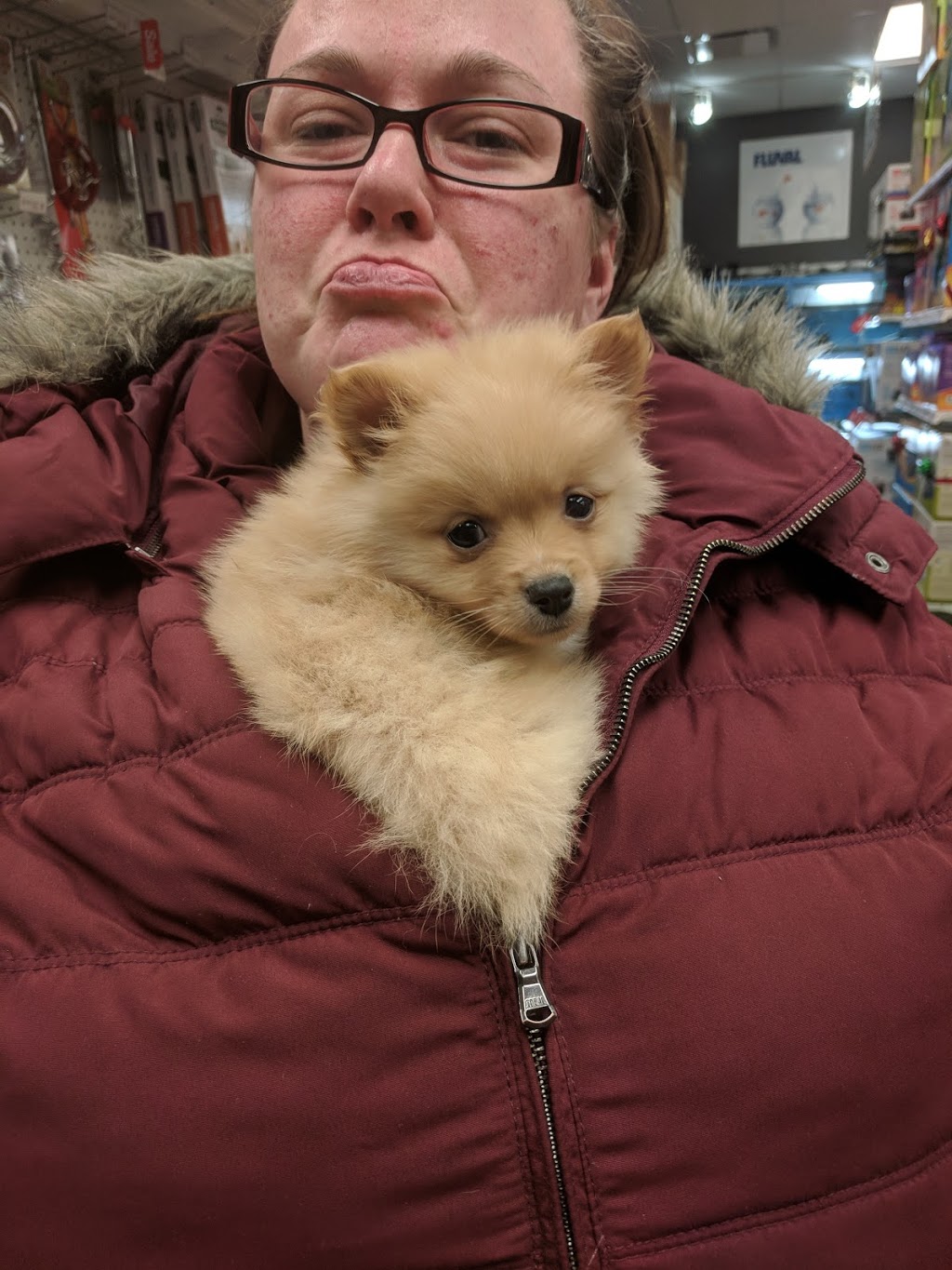 Ruffins Pet Centre- Stratford | 1067 Ontario St, Stratford, ON N5A 6W6, Canada | Phone: (519) 271-8739