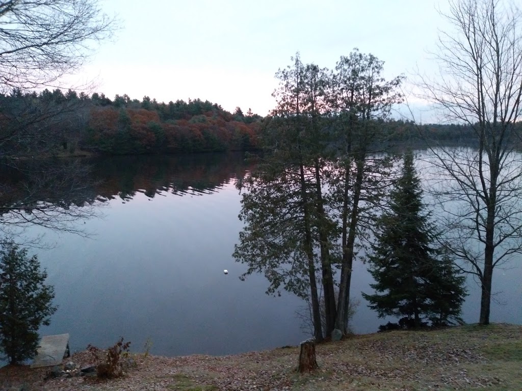 Eagles Rest Cabin & Boat Rentals | 5373 Centennial Lake Rd, Greater Madawaska, ON K0J, Canada | Phone: (613) 639-4949