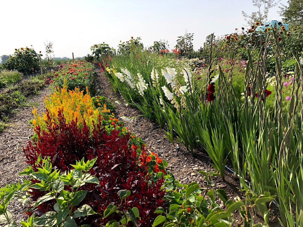 Good Land Farms | Township Rd 522, Alberta T7Y 2R4, Canada | Phone: (780) 292-5290