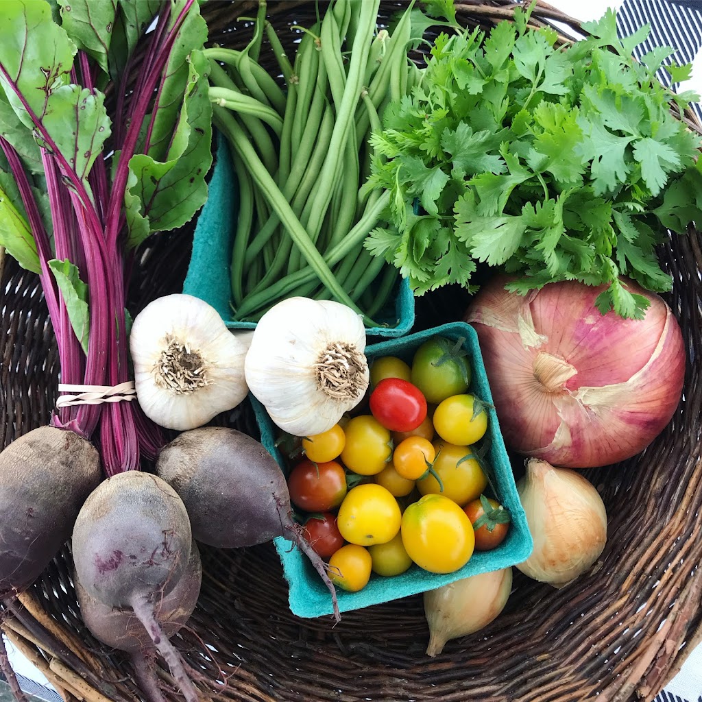 Tendergreens Farm | 3553 Milman Rd, Courtenay, BC V9J 1N8, Canada | Phone: (250) 896-4981