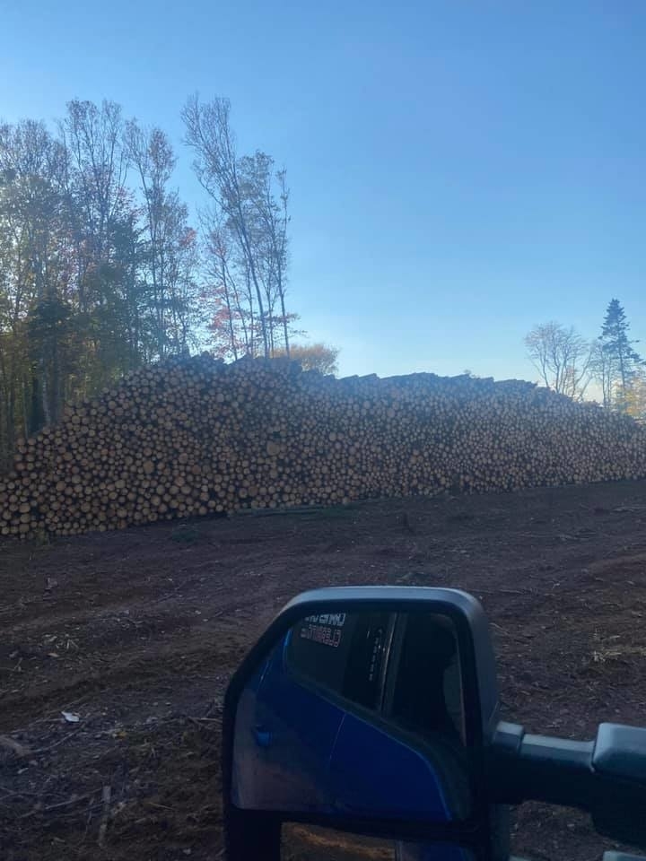 Cranes Land Clearing Ltd. | 1362 Lorne Valley Rd, Cardigan, PE C0A 1G0, Canada | Phone: (902) 218-3134