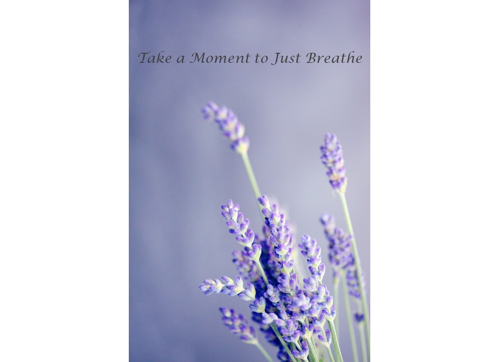 Clear Living Connection Counselling | 11 Chelwood St, Winnipeg, MB R4A 2A6, Canada | Phone: (204) 282-7588