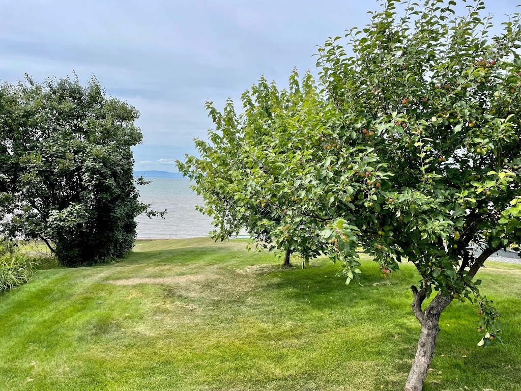 Motel Bellevue | 201 Rue Mackay, Rivière-du-Loup, QC G5R 3Z5, Canada | Phone: (418) 862-5229