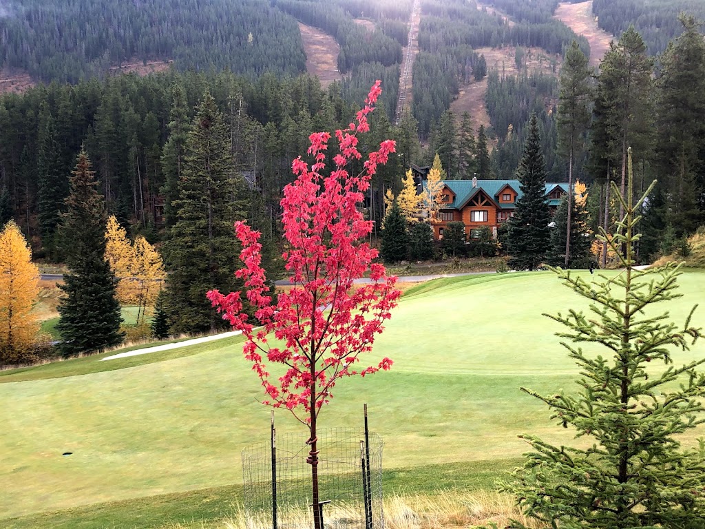 Greywolf Golf Course | 1860 Greywolf Dr, Panorama, BC V0A 1T0, Canada | Phone: (250) 341-4100