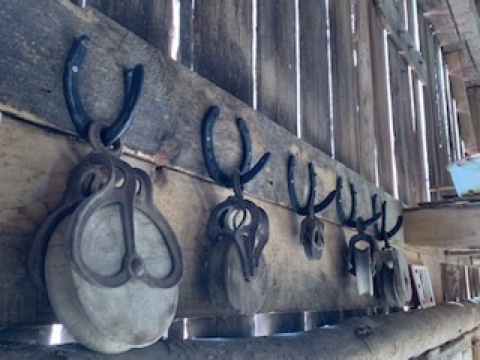 A Rustic Event Barn | 832 Fifth Line, Peterborough, ON K9J 6X2, Canada | Phone: (705) 344-4525