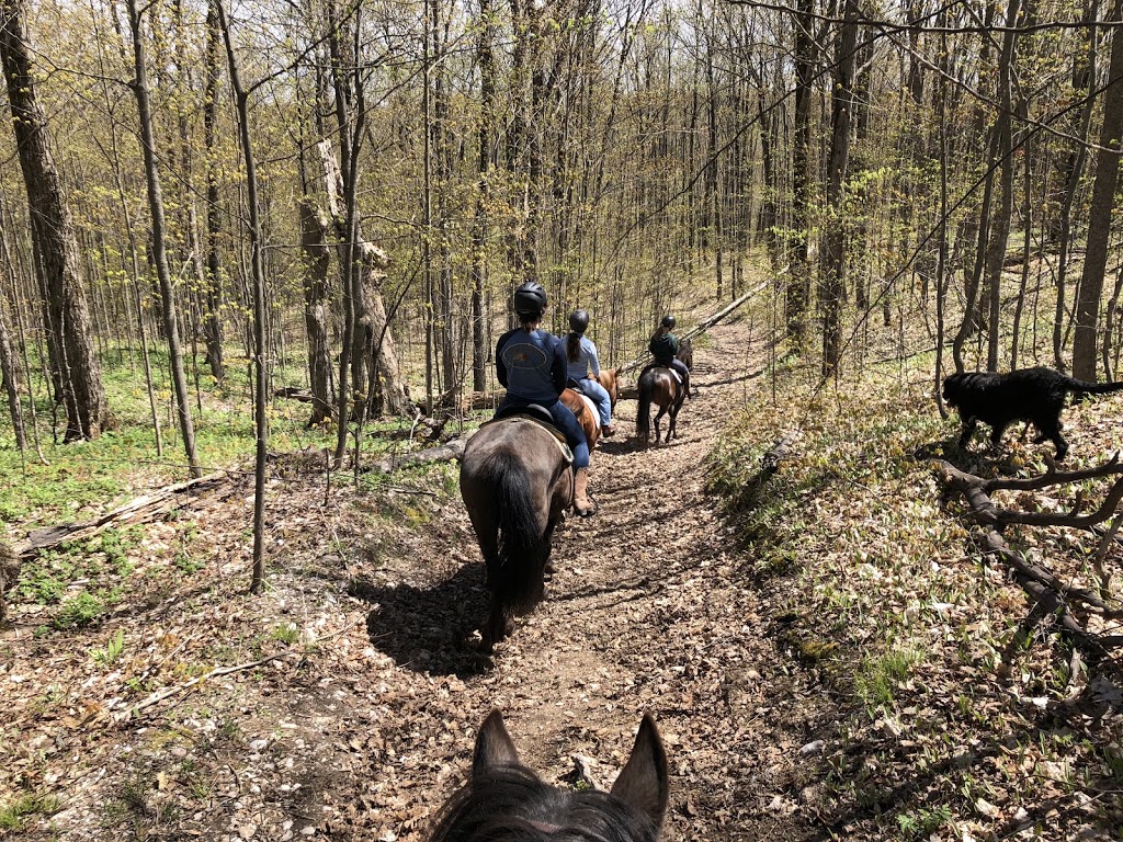 Glen Oro Farm | 2574 10 Line N, Hawkestone, ON L0L 1T0, Canada | Phone: (705) 326-7244