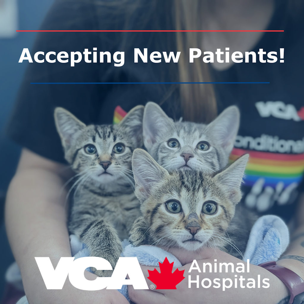 VCA Shamrock Animal Hospital | 1896 Guthrie Rd, Comox, BC V9M 3X7, Canada | Phone: (250) 339-2026