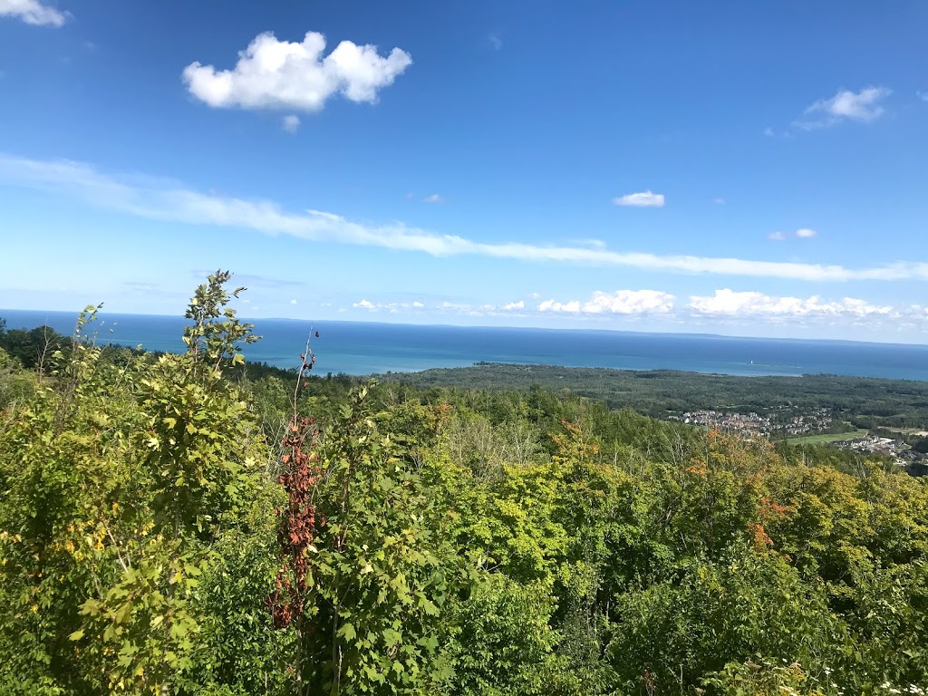 Open Air Gondola- Base | 150 Jozo Weider Blvd Unit AS8, The Blue Mountains, ON L9Y 0P7, Canada | Phone: (833) 583-2583