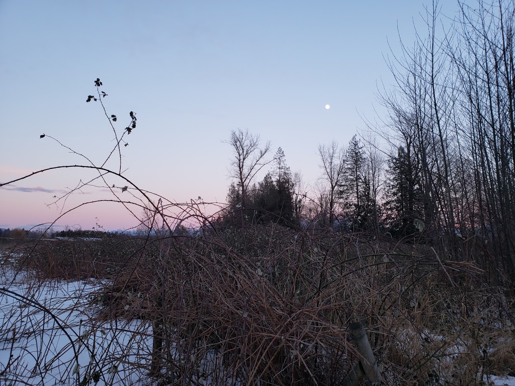 Peach Creek | Peach Creek - Rotary Trail, Chilliwack, BC V2R, Canada