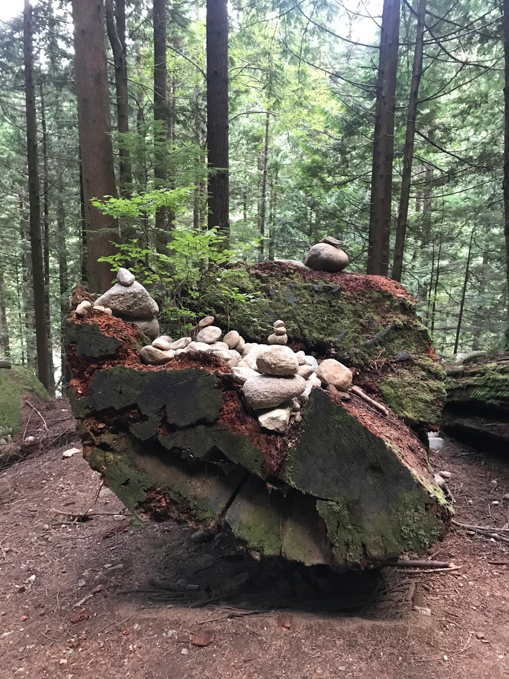 East West Canyon Connector | E Canyon Trail, Maple Ridge, BC V0M, Canada