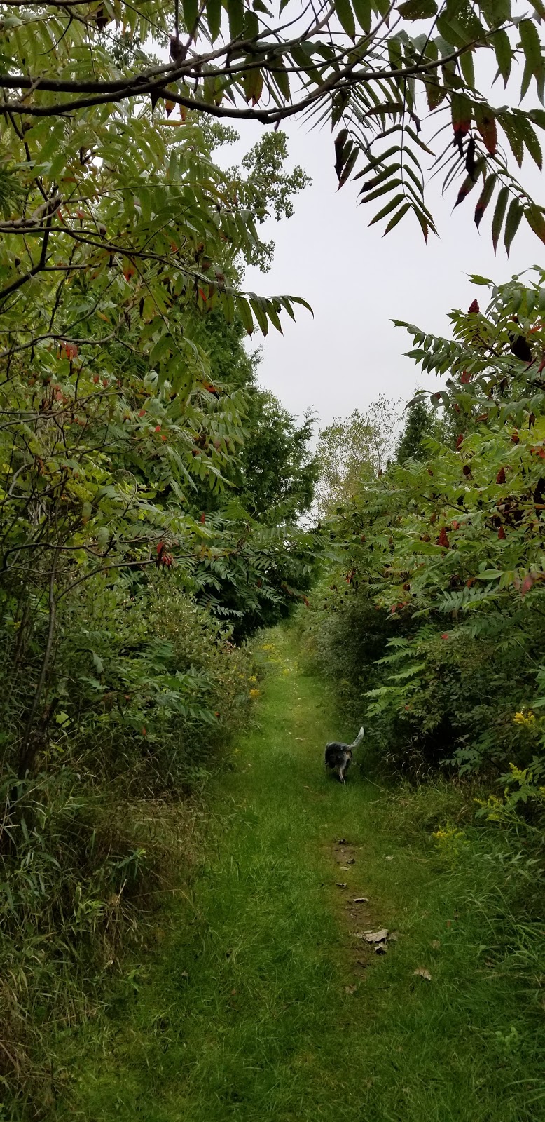 Marthaville Habitat Management Area | 4749 Marthaville Rd, Petrolia, ON N0N 1R0, Canada