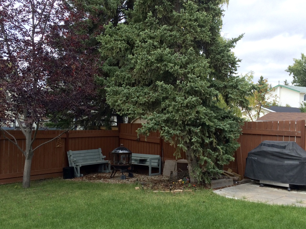 Framesguesthouse | 5627 Dalrymple Hill NW, Calgary, AB T3A 1R1, Canada | Phone: (403) 286-4164