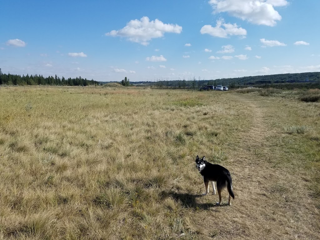 Dog Park | Southeast Calgary, Calgary, AB T0L 0X0, Canada