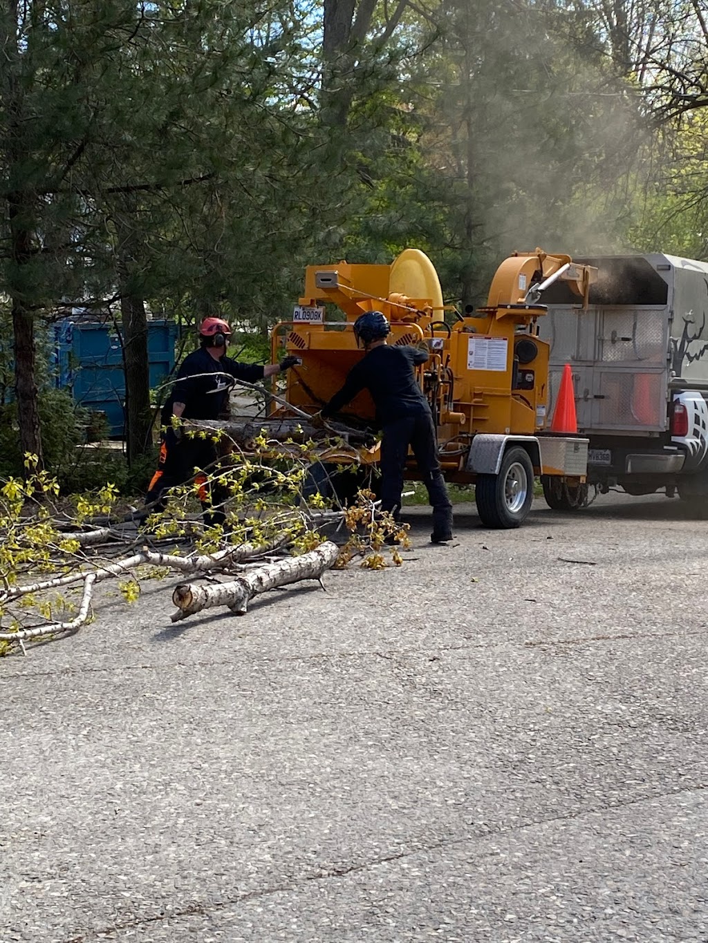 Arboriterre - Abattage -Elagage | 78 Giroux, Châteauguay, 1298 Chem. de la Rivière Châteauguay, Très-Saint-Sacrement, QC J0S 1G0, Canada | Phone: (514) 622-2695