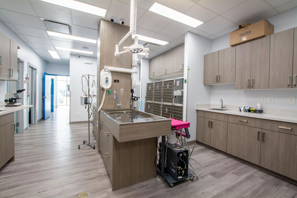 Ambleside Veterinary Hospital | 16412 Ellerslie Rd SW, Edmonton, AB T6W 4S8, Canada | Phone: (780) 433-0300
