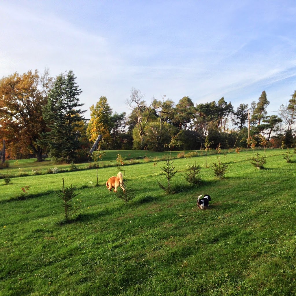 Bond Lake Park | 2571 Lower Mountain Rd, Ransomville, NY 14131, USA | Phone: (716) 439-7951