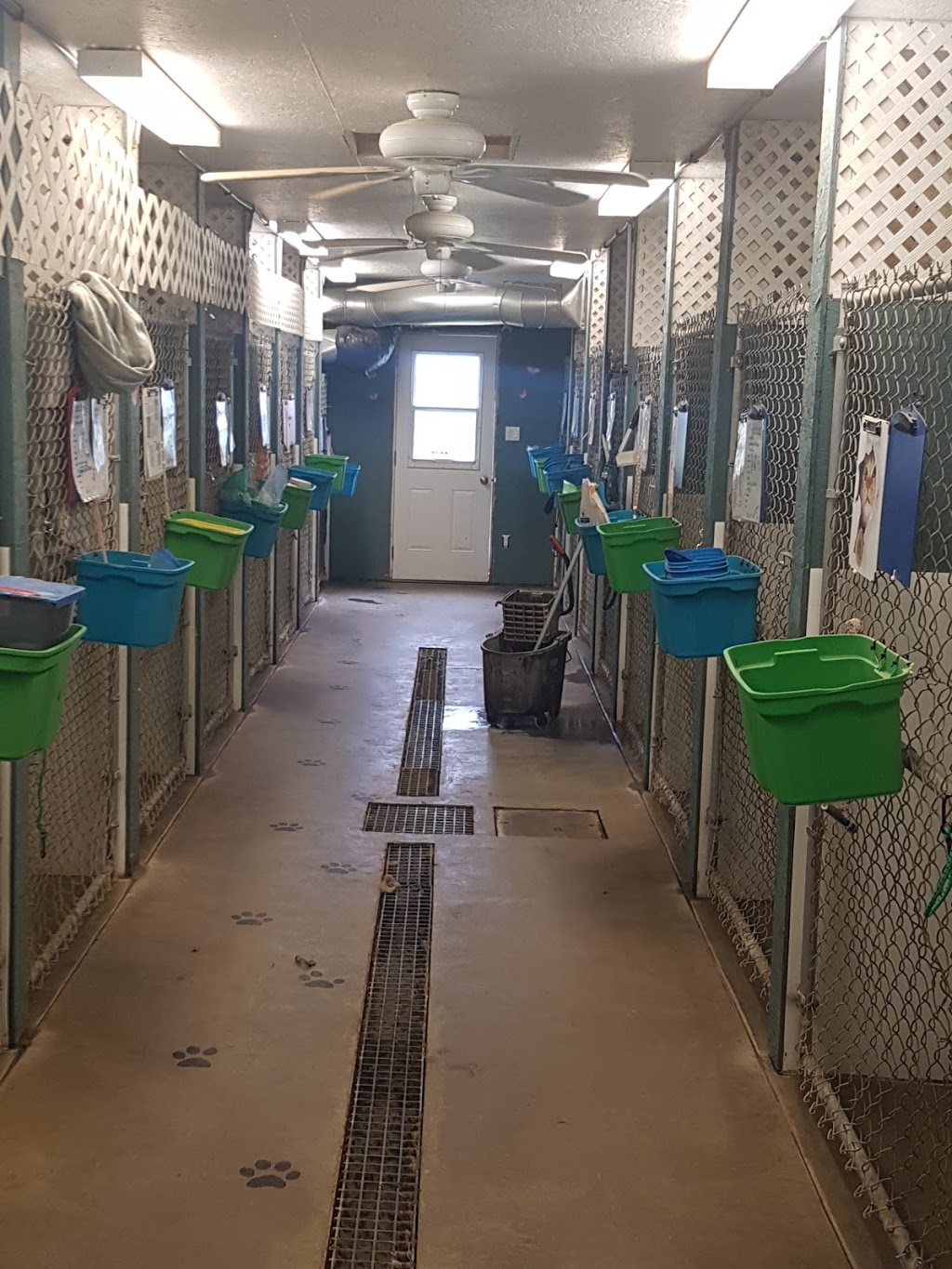 Paws Claws N Tails Kennel | Baildon Farm Road, MAIL TO: P.O.B. 691 BUSHELL PARK,, Baildon, SK S0H 0N0, Canada | Phone: (306) 693-0310