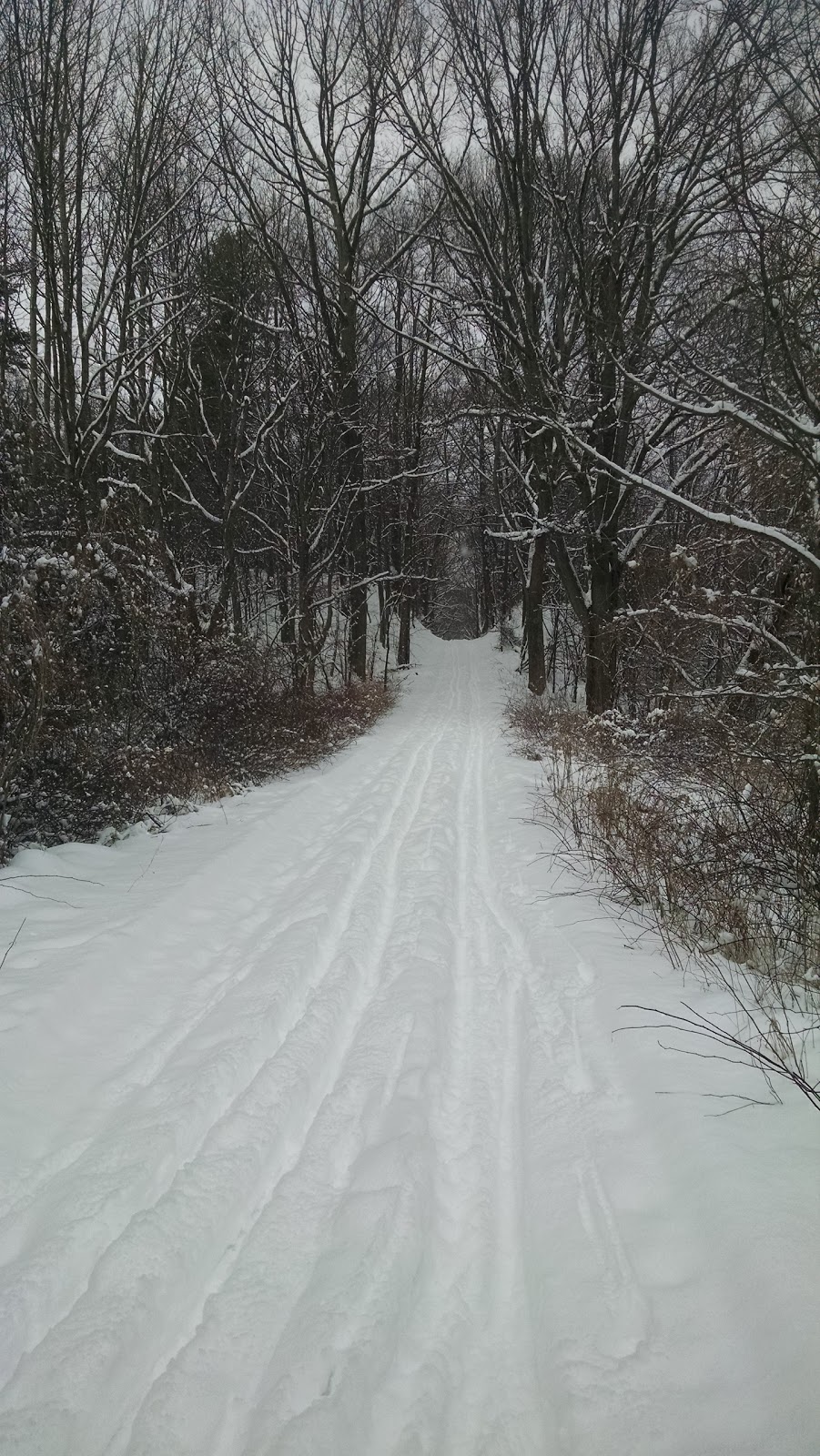Robert E. Wade Ancaster Community Park | 385 Jerseyville Rd W, Ancaster, ON L9G 5C3, Canada | Phone: (905) 546-2489