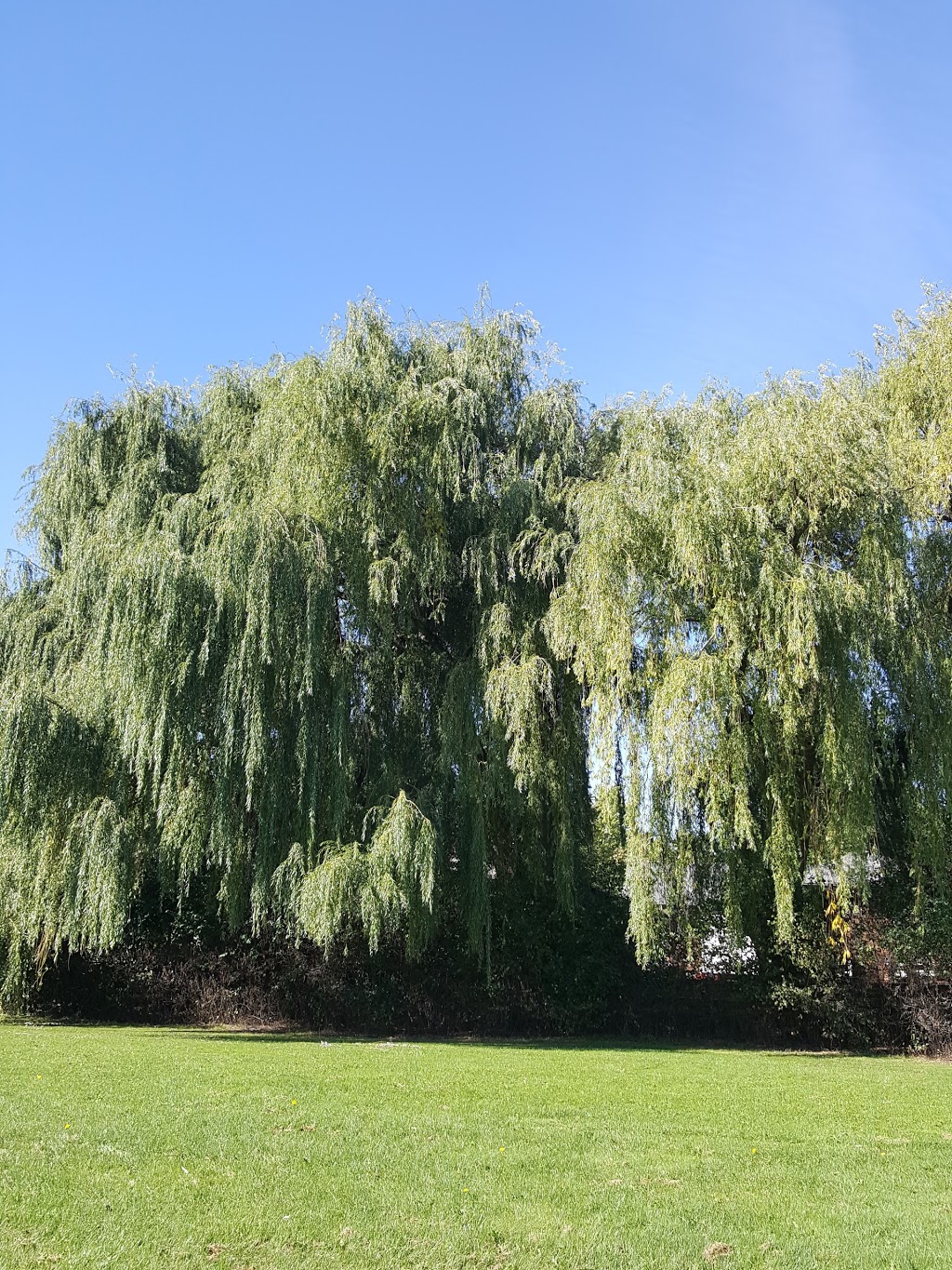 St. Lawrence Park | 5 St Lawrence Blvd, London, ON N6J 2W8, Canada | Phone: (519) 661-5575