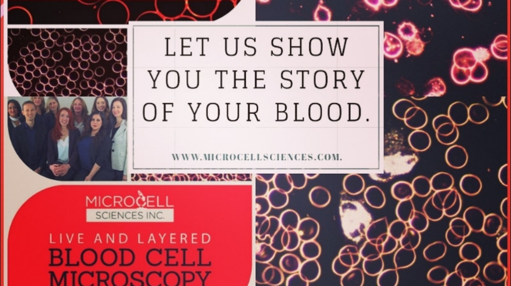 Microcell Sciences Inc. | 25 Caithness St W, Caledonia, ON N3W 1B7, Canada | Phone: (905) 765-0404