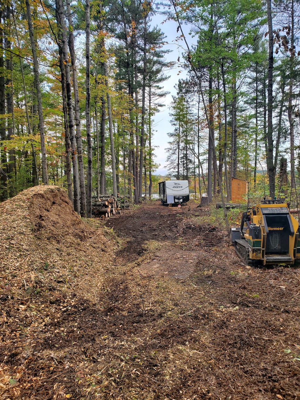 Arborist Tree Service | 1709 Beachburg Rd, Beachburg, ON K0J 1C0, Canada | Phone: (613) 639-4804