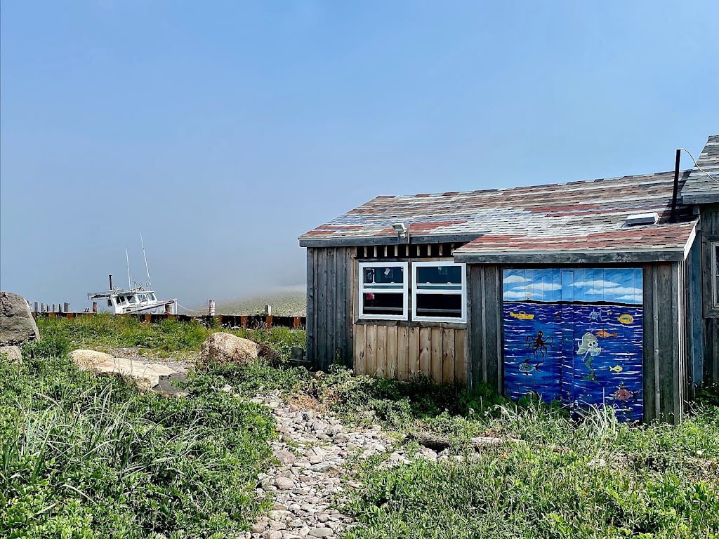 The Art Shack | 37 Haddock Alley, Margaretsville, NS B0S 1N0, Canada | Phone: (902) 824-1926