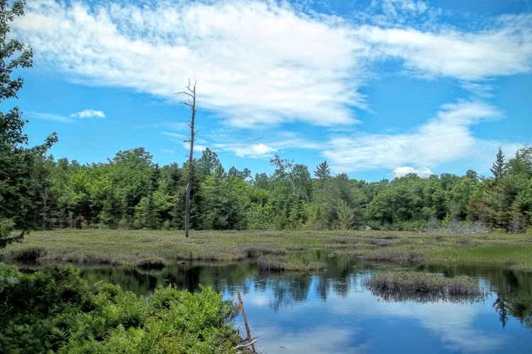 Wolf Trail | Chemin du Lac Meech, Chelsea, QC J9B 1H9, Canada | Phone: (613) 239-5000